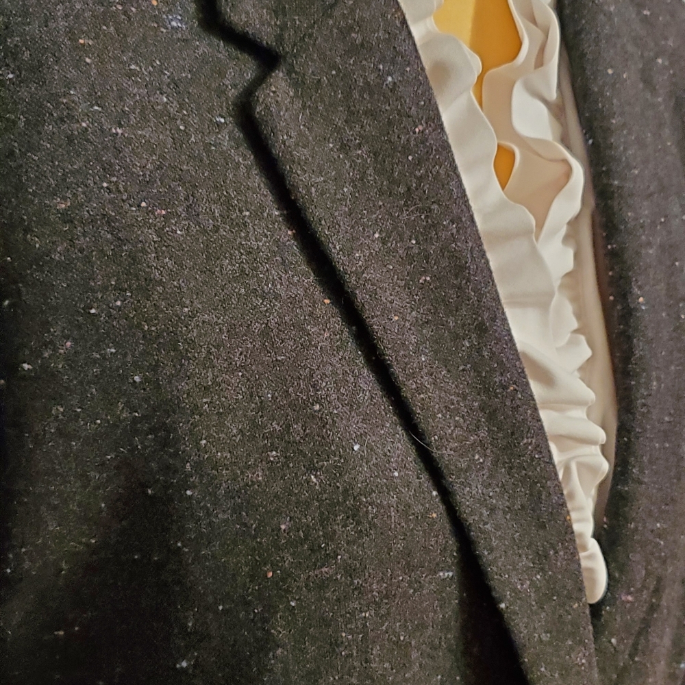 Banana Republic Blazer - Picture 3 of 8